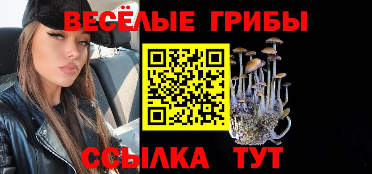 Моршанск  Галлюциногенные грибы мухоморы  Вход с VPN 